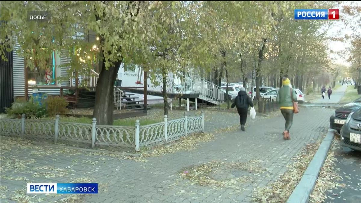 За минувшую неделю у 51 жителя края разными способами мошенники похитили 26 миллионов рублей