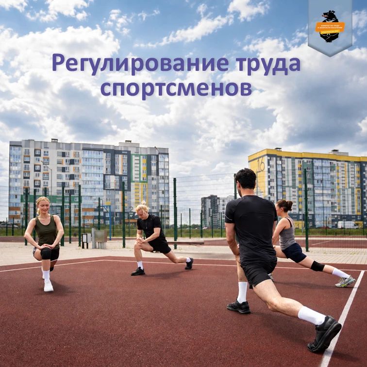 В Год спорта, продолжающийся в Хабаровском крае, рассказываем о трудовых отношениях со спортсменами и тренерами