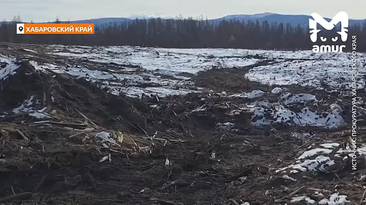 Лесопилка, неделю горевшая у посёлка в Хабаровском крае, нарушала закон
