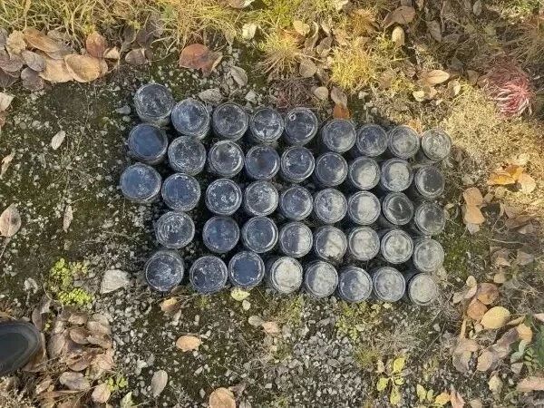 «Нашел» 10 кг черной икры на берегу Амура: на комсомольчнина возбудили уголовное дело