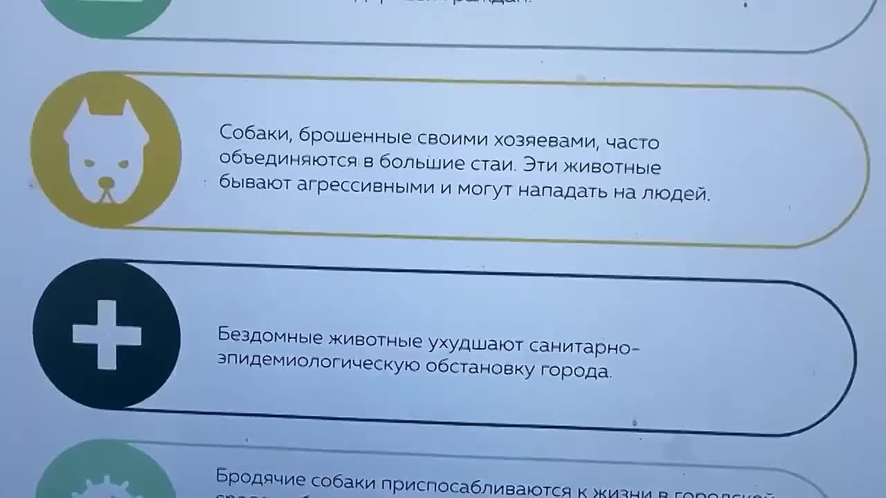 Хабаровчане забирают собак из приюта «Добрый Пёс»