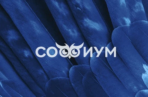 Всероссийская олимпиада школьников «Софиум»: продолжается прием заявок