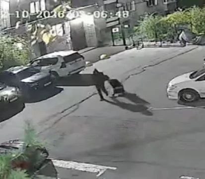 В Хабаровске полицейские задержали будущего отца, похитившего коляску, чтобы подарить её супруге