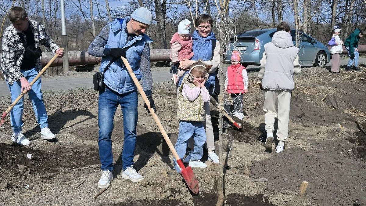 Более 4300 деревьев и кустарников высадили в Хабаровске в 2026 году